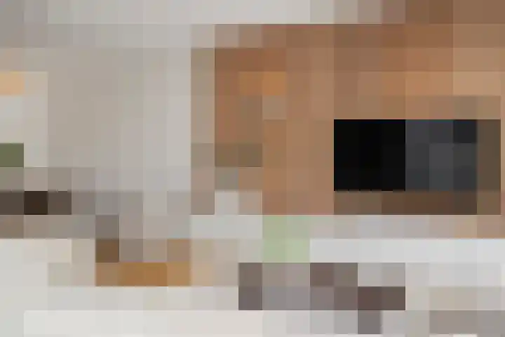 Notenhout 49 B Julianadorp thumbnail 9