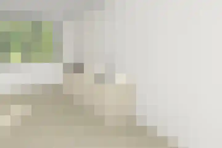 Notenhout 55 Waddinxveen thumbnail 5