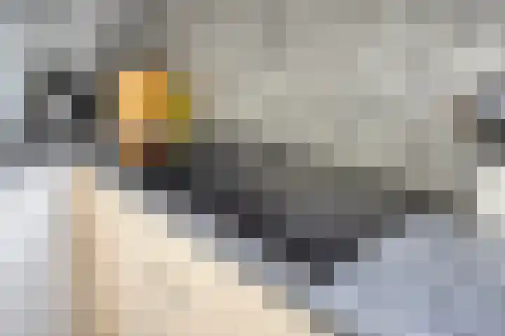 Notenlaan 106 Sleeuwijk thumbnail 22