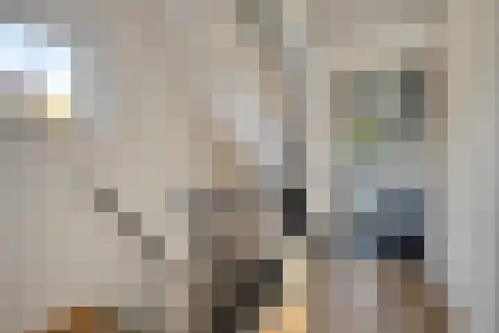 Notenlaan 106 Sleeuwijk thumbnail 30
