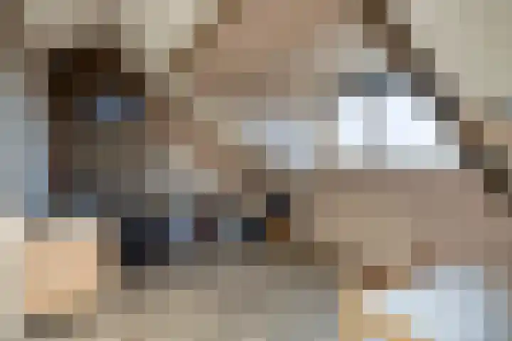 Notenlaan 106 Sleeuwijk thumbnail 40