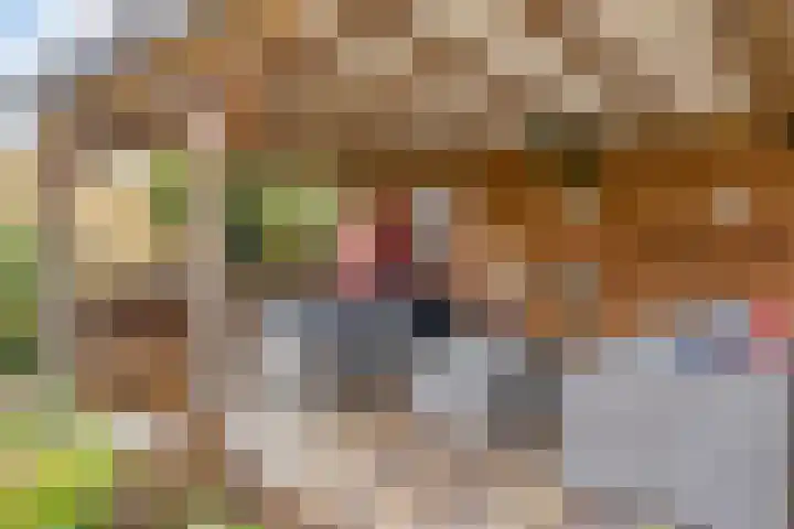 Notenlaan 106 Sleeuwijk thumbnail 47