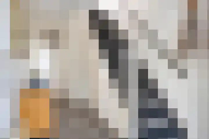 Notenlaan 106 Sleeuwijk thumbnail 6