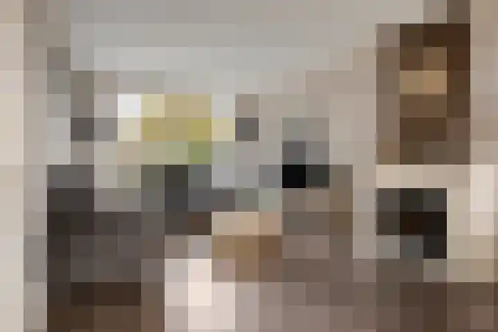 Notenlaan 106 Sleeuwijk thumbnail 7