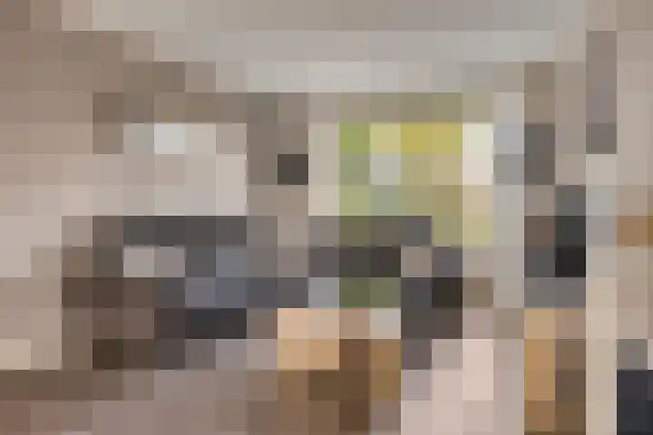 Notenlaan 106 Sleeuwijk thumbnail 8