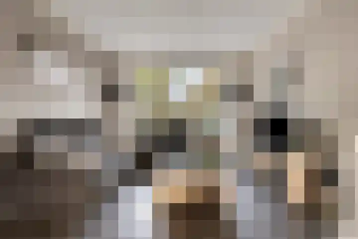 Notenlaan 106 Sleeuwijk thumbnail 9