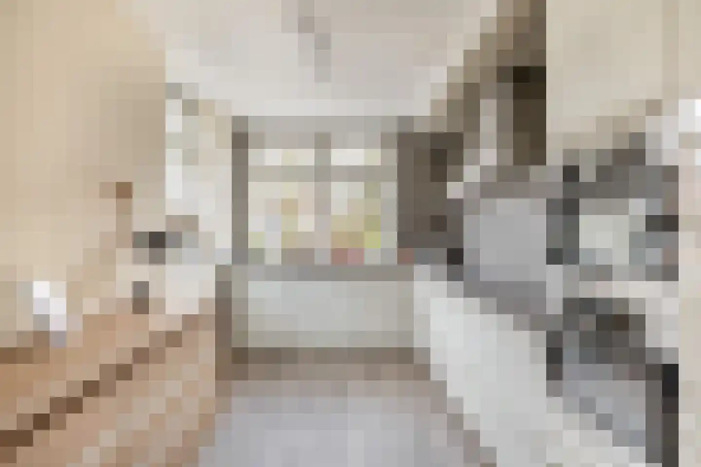 Notenlaan 14 Dirksland thumbnail 11