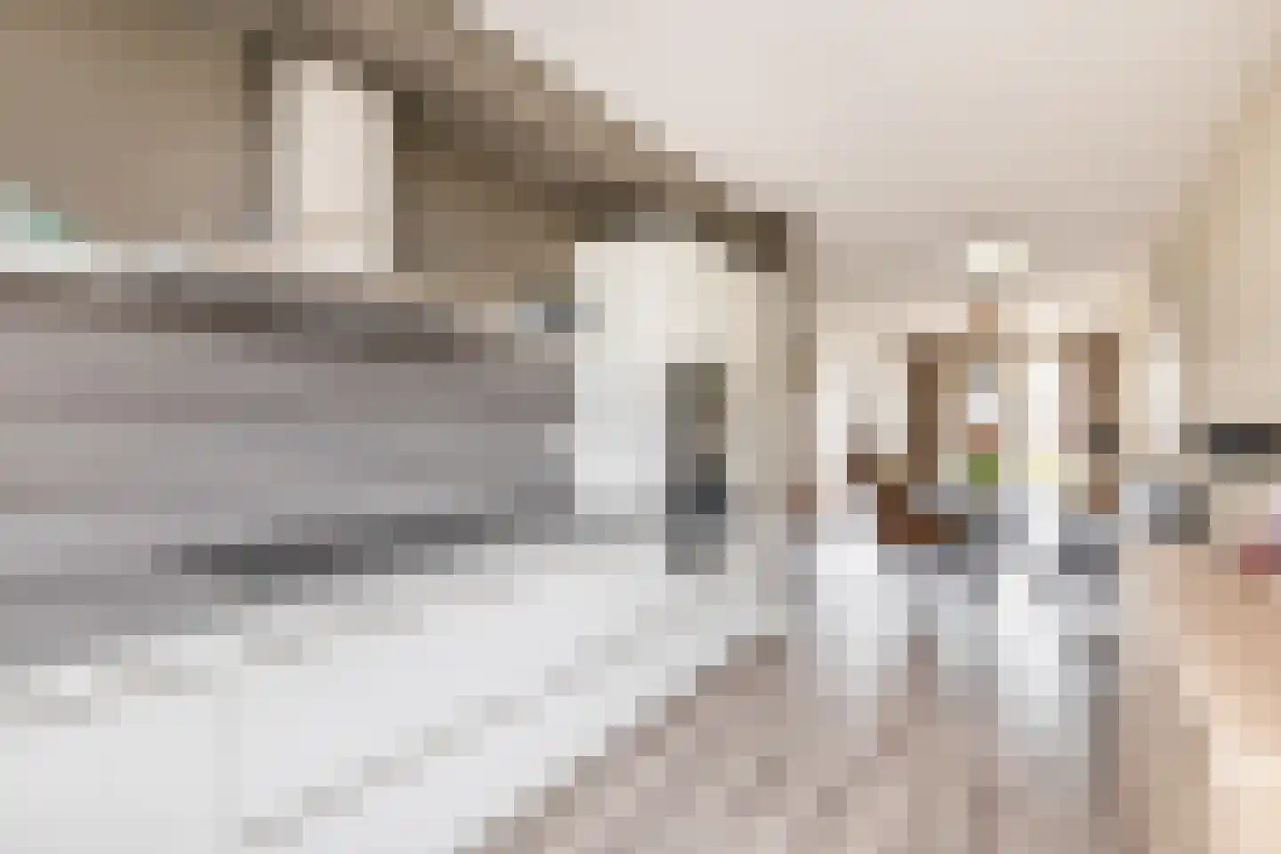 Notenlaan 14 Dirksland thumbnail 13