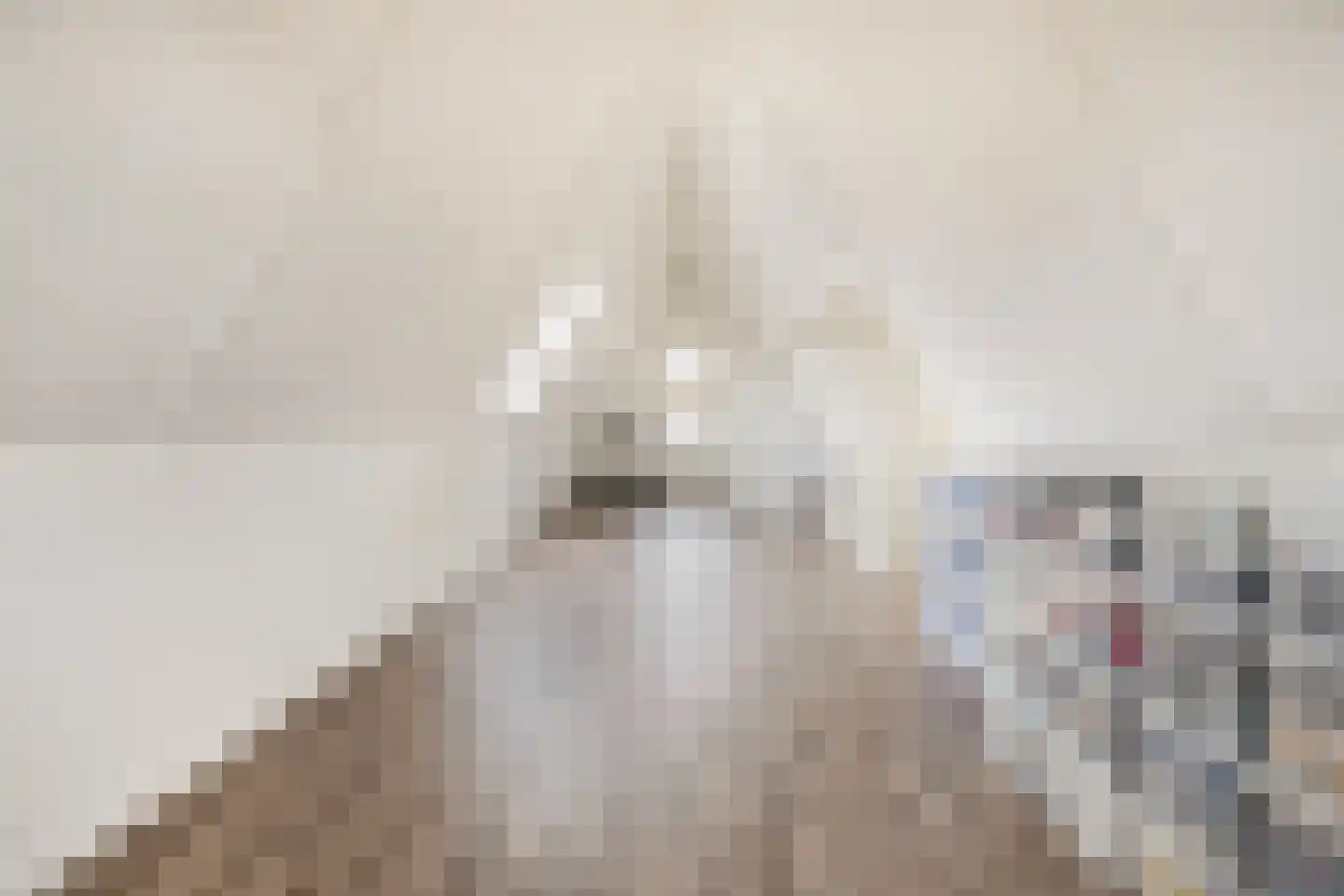 Notenlaan 14 Dirksland thumbnail 26