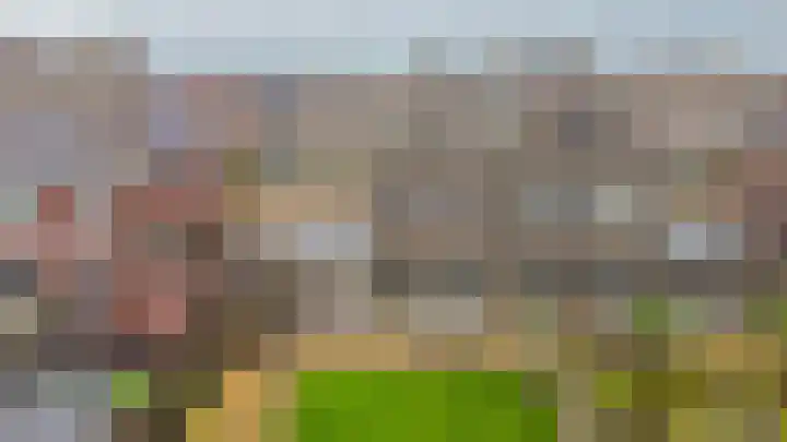 Notenlaan 14 Dirksland thumbnail 30
