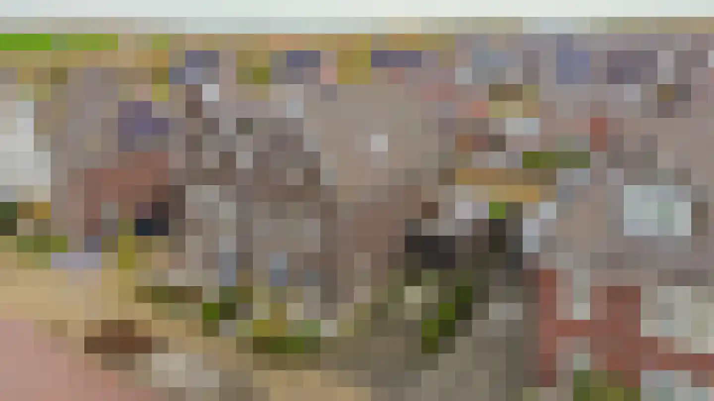 Notenlaan 14 Dirksland thumbnail 31