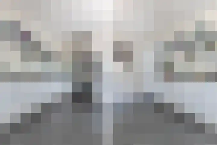 Notenlaan 24 Zaandam thumbnail 21