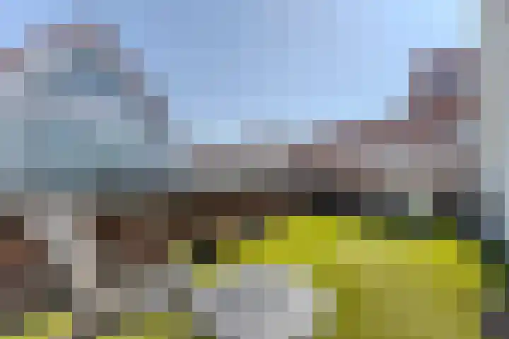 Notenlaan 24 Zaandam thumbnail 35