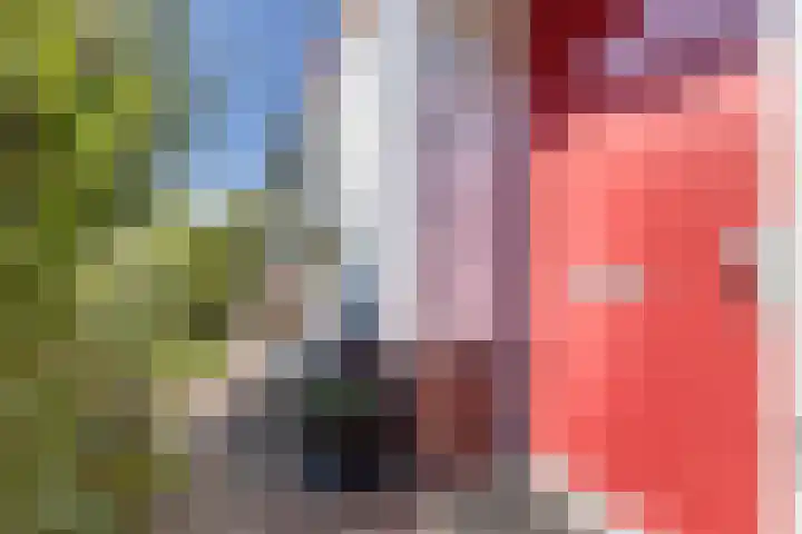 Notenlaan 24 Zaandam thumbnail 49