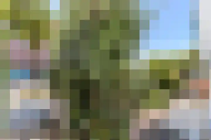 Notenlaan 24 Zaandam thumbnail 50
