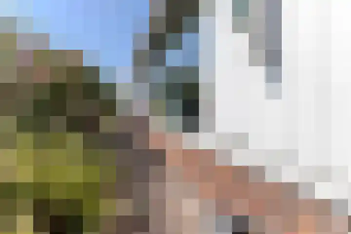 Notenlaan 24 Zaandam thumbnail 52