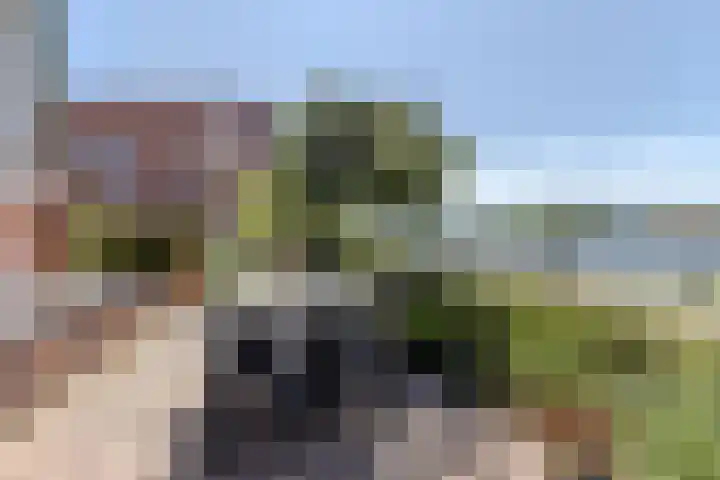 Notenlaan 24 Zaandam thumbnail 54