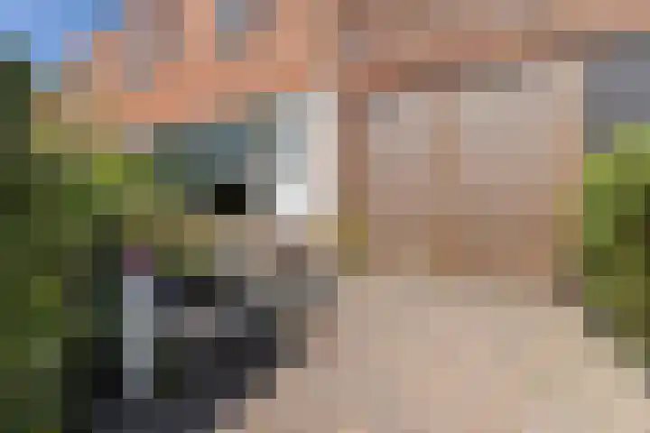 Notenlaan 24 Zaandam thumbnail 56