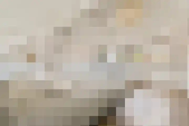 Notenlaan 3 Amstelveen thumbnail 31