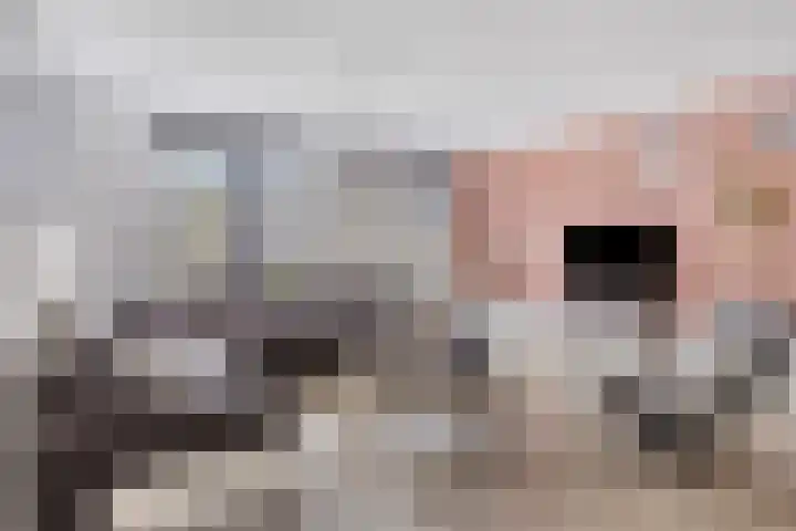 Notenlaan 7 Dirksland thumbnail 11