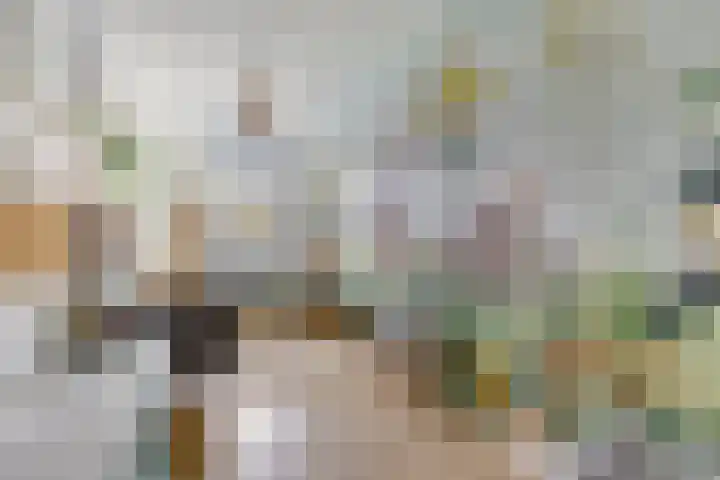 Notenlaan 7 Dirksland thumbnail 32