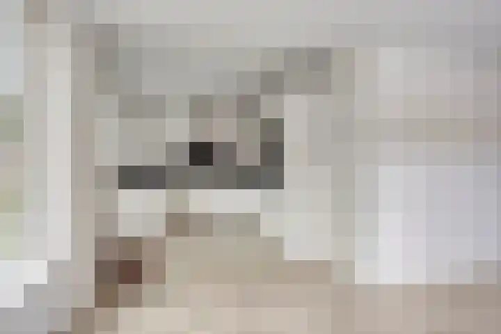 Notenlaan 76 Sleeuwijk thumbnail 12