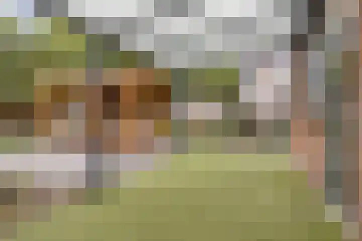 Notenlaan 76 Sleeuwijk thumbnail 31