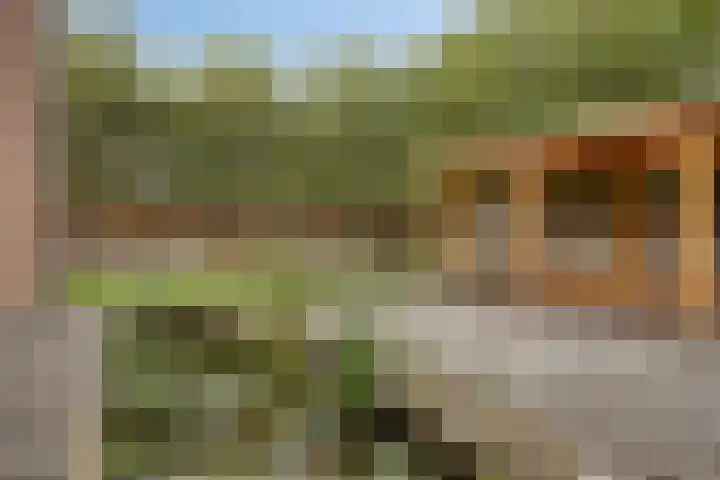 Notenlaan 76 Sleeuwijk thumbnail 32