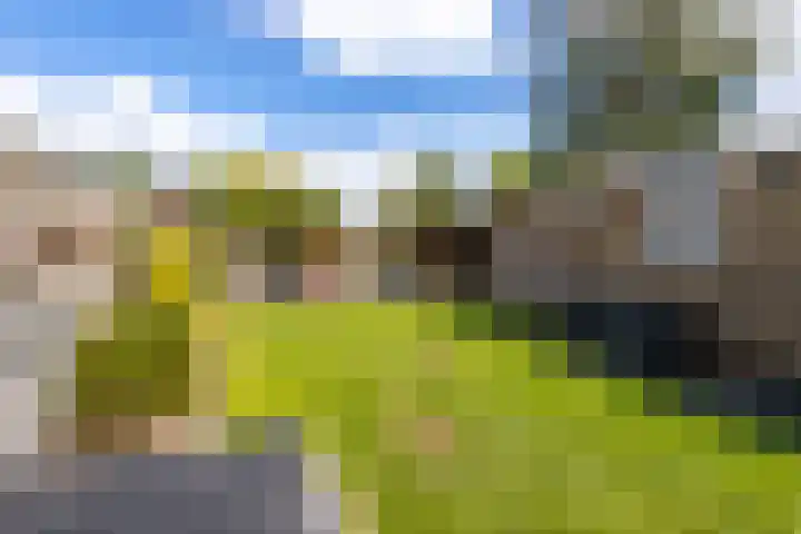 Notenlaan 87 Sleeuwijk thumbnail 39