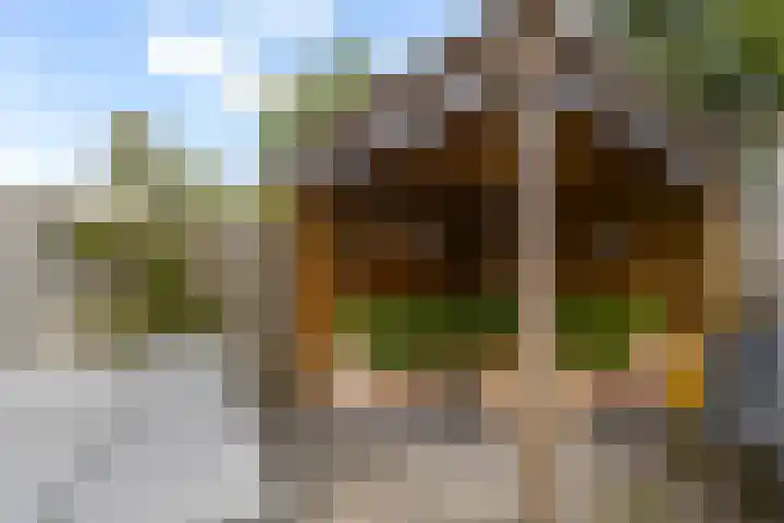 Notenlaan 87 Sleeuwijk thumbnail 41