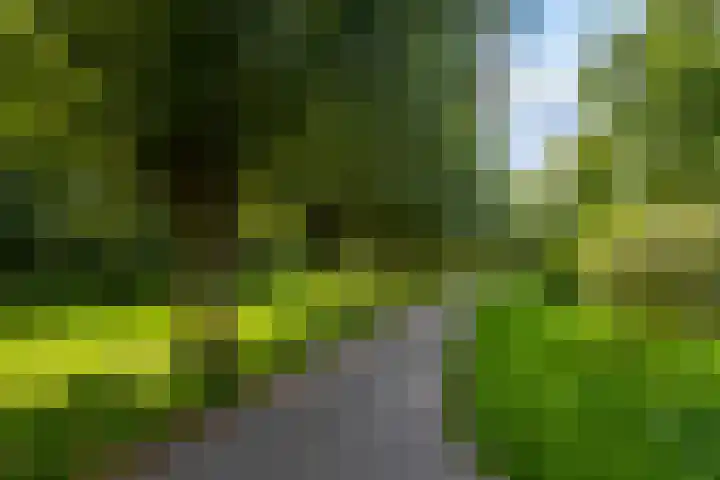 Notenlaan 87 Sleeuwijk thumbnail 42