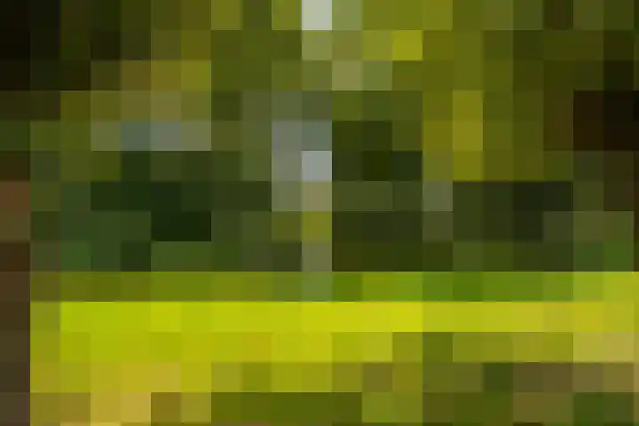 Notenlaan 87 Sleeuwijk thumbnail 43