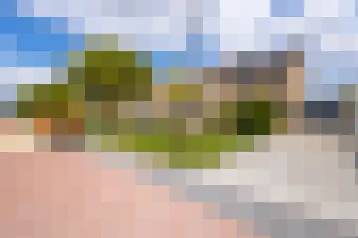 Notenlaan 87 Sleeuwijk thumbnail 9
