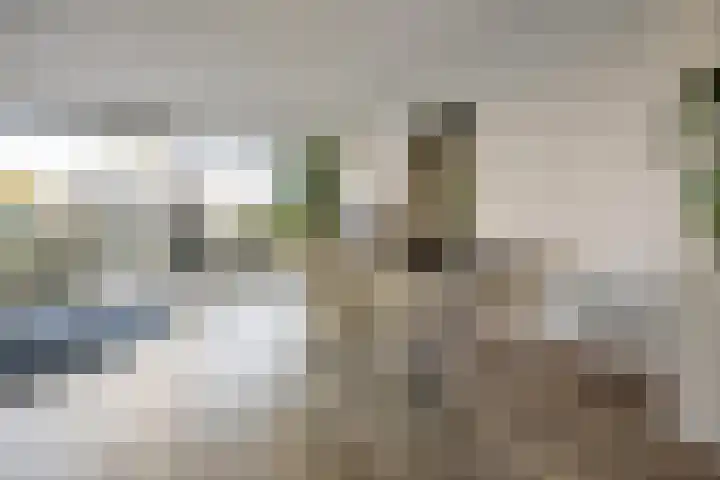 Notenlaantje 12 Lent thumbnail 12