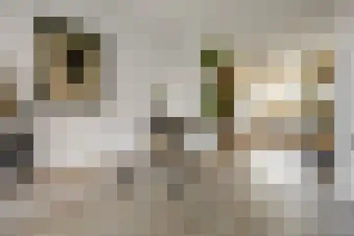 Notenlaantje 12 Lent thumbnail 13