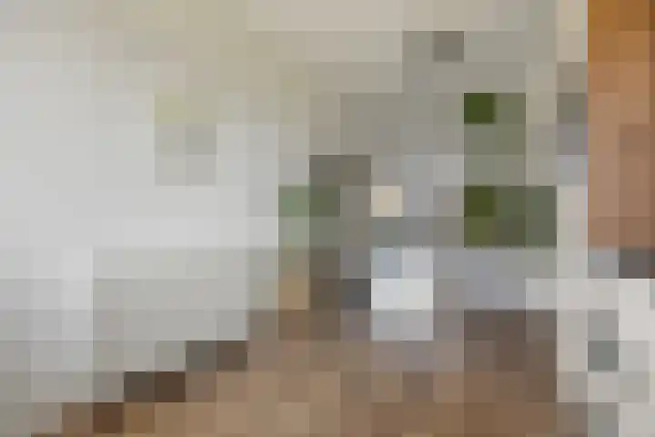 Notenlaantje 12 Lent thumbnail 18