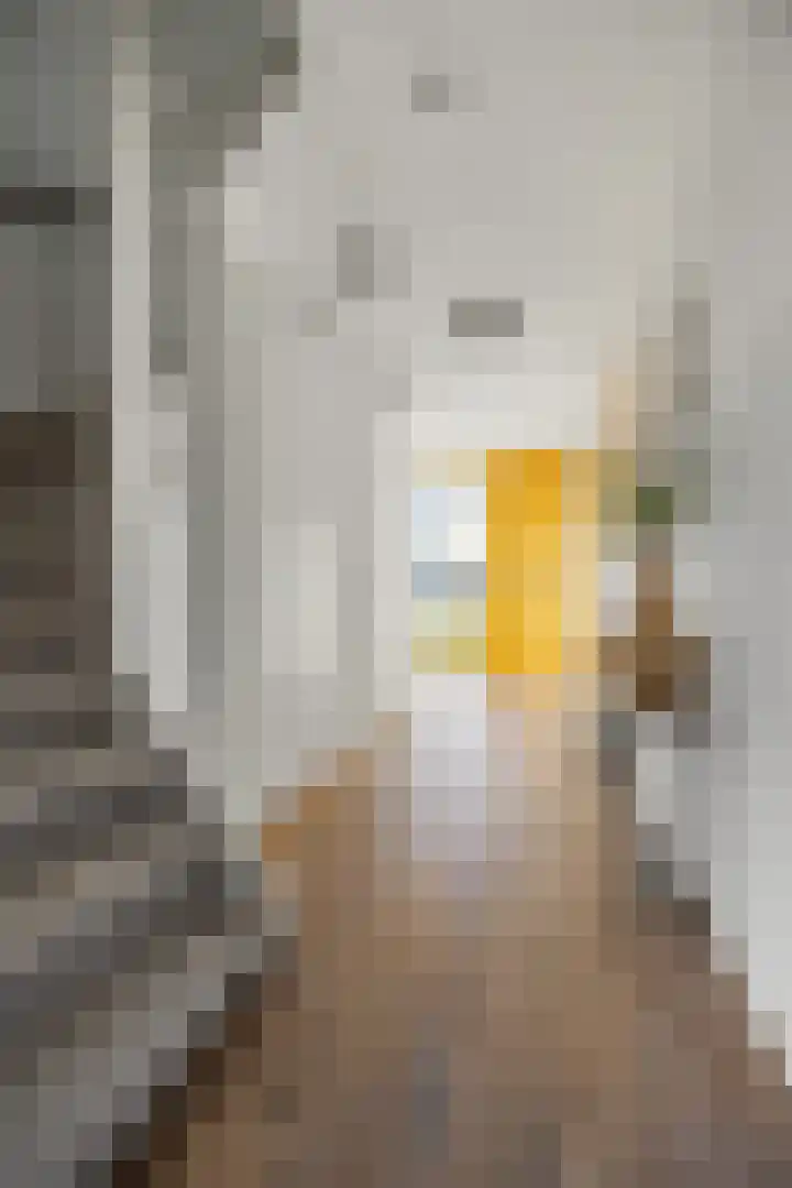 Notenlaantje 12 Lent thumbnail 19