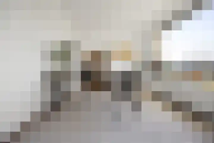 Notenlaantje 12 Lent thumbnail 22