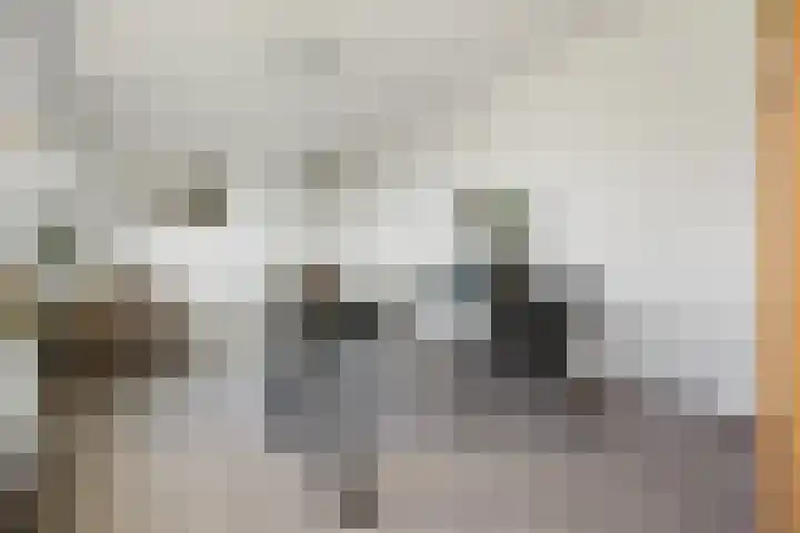 Notenlaantje 12 Lent thumbnail 24