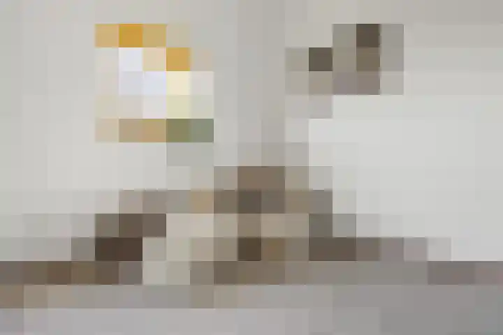 Notenlaantje 12 Lent thumbnail 25