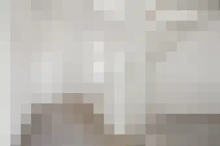 Notenlaantje 12 Lent thumbnail 27