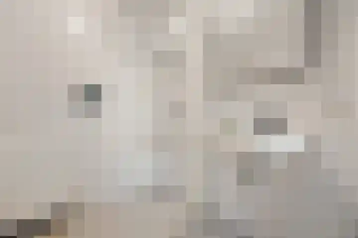 Notenlaantje 12 Lent thumbnail 35