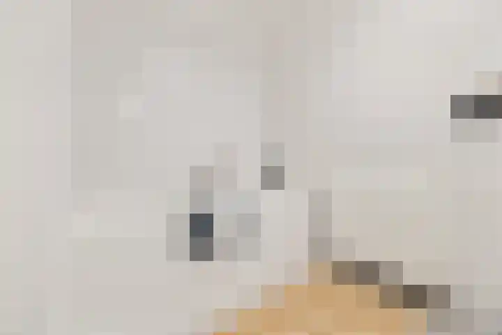 Notenlaantje 12 Lent thumbnail 36