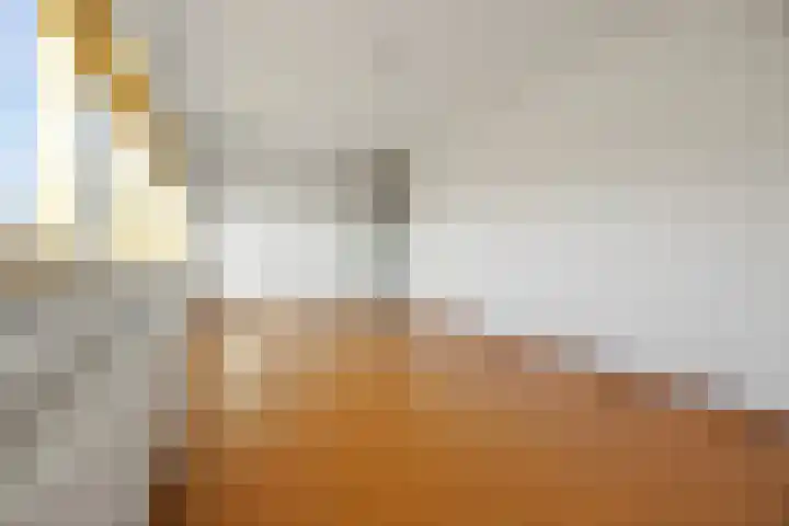Notenlaantje 12 Lent thumbnail 45