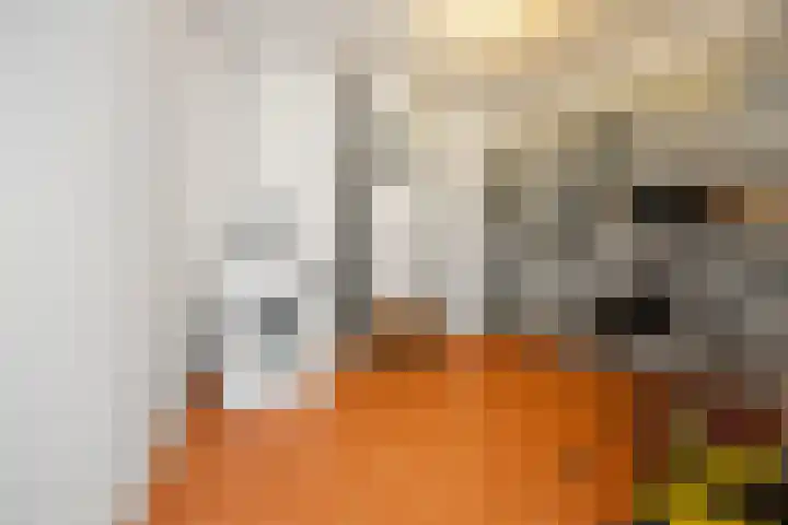Notenlaantje 12 Lent thumbnail 53