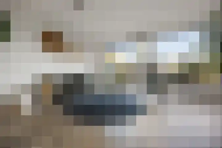 Notenlaantje 12 Lent thumbnail 8