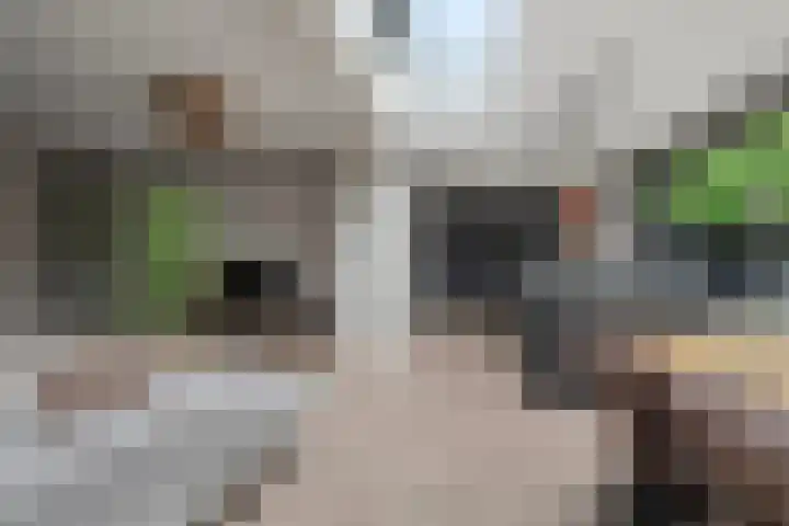 Notenluststraat 25 Vught thumbnail 15