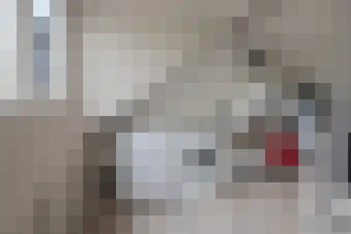 Notenluststraat 25 Vught thumbnail 38