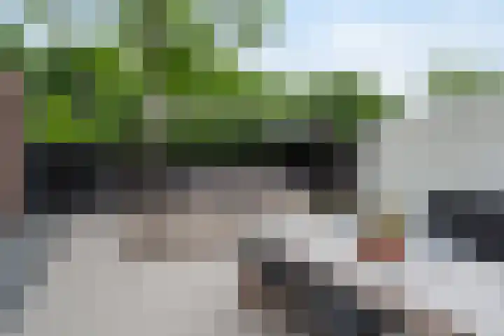 Notenluststraat 25 Vught thumbnail 39