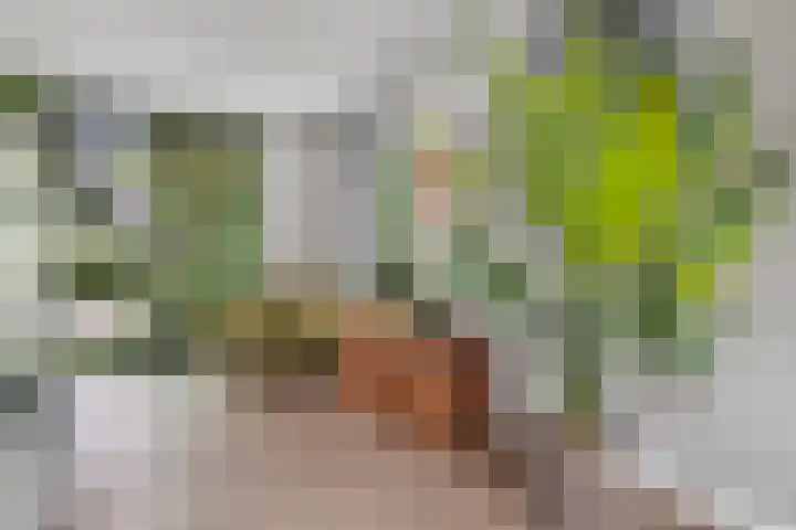 Notenluststraat 25 Vught thumbnail 8
